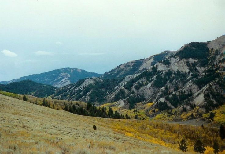 The Cokeville Wyoming Miracle